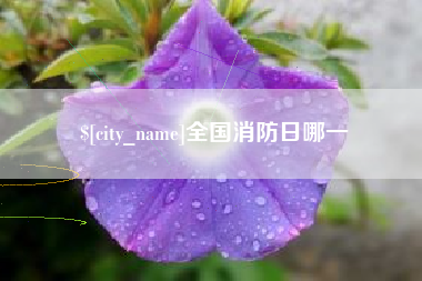 重庆全国消防日哪一