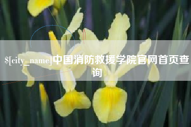 重庆中国消防救援学院官网首页查询