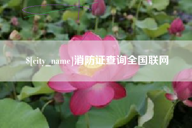 重庆消防证查询全国联网