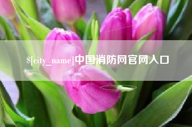 重庆中国消防网官网入口
