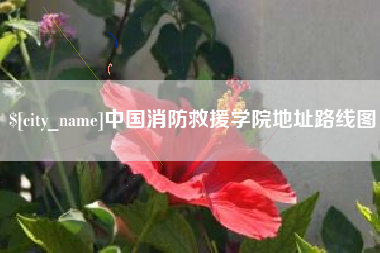 重庆中国消防救援学院地址路线图