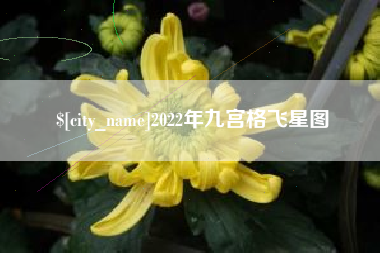 重庆2022年九宫格飞星图