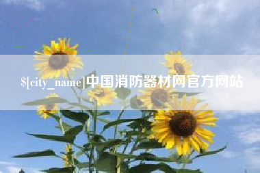 重庆中国消防器材网官方网站