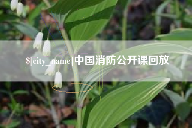 重庆中国消防公开课回放