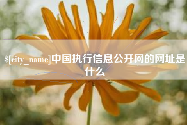 重庆中国执行信息公开网的网址是什么