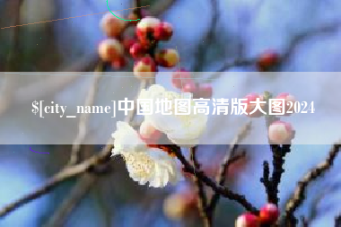 重庆中国地图高清版大图2024