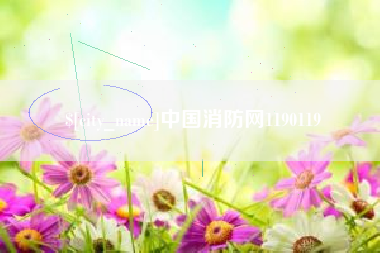 重庆中国消防网1190119