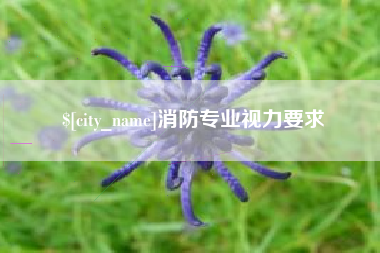 重庆消防专业视力要求