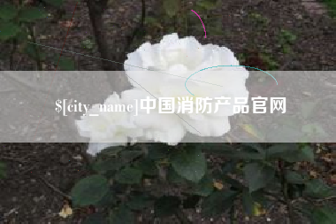 重庆中国消防产品官网