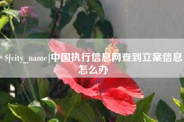 重庆中国执行信息网查到立案信息怎么办