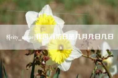 重庆我国消防日是几月几日几日