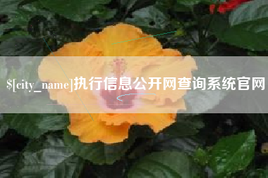重庆执行信息公开网查询系统官网