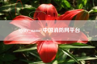 重庆中国消防网平台