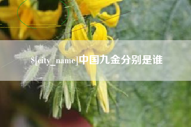 重庆中国九金分别是谁