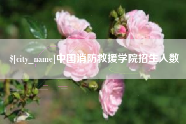 重庆中国消防救援学院招生人数