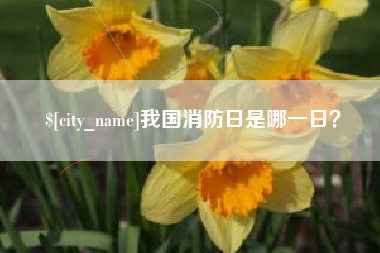 重庆我国消防日是哪一日？