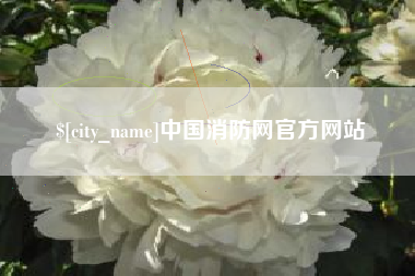 重庆中国消防网官方网站