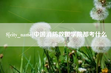 重庆中国消防救援学院都考什么