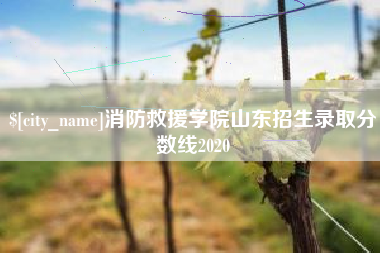 重庆消防救援学院山东招生录取分数线2020
