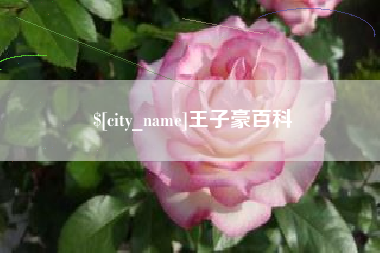重庆王子豪百科