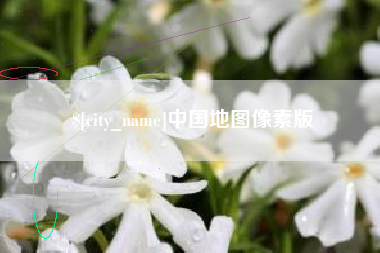 重庆中国地图像素版
