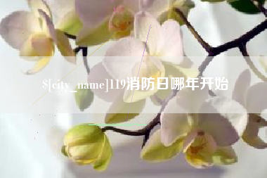 重庆119消防日哪年开始