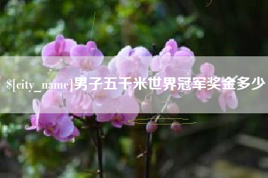 重庆男子五千米世界冠军奖金多少