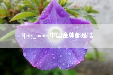 重庆中国金牌都是啥
