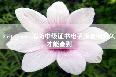 重庆消防中级证书电子版查询多久才能查到