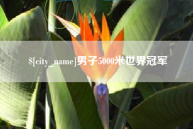 重庆男子5000米世界冠军