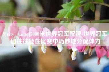 重庆5000米世界冠军配速-世界冠军们往往能在比赛中巧妙地分配体力
