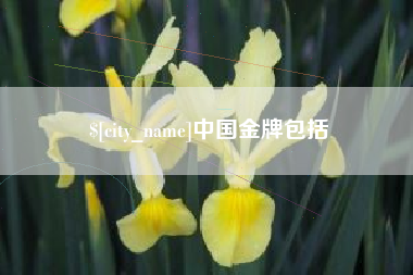 重庆中国金牌包括