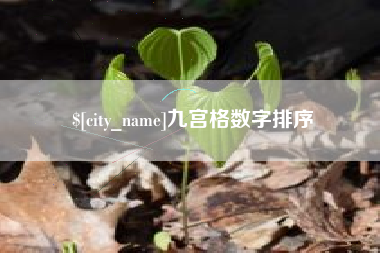 重庆九宫格数字排序