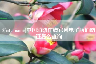 重庆中国消防在线官网电子版消防证怎么查询