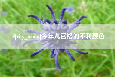 重庆今年九宫格的不利颜色
