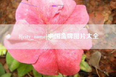 重庆中国金牌图片大全