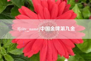重庆中国金牌第九金