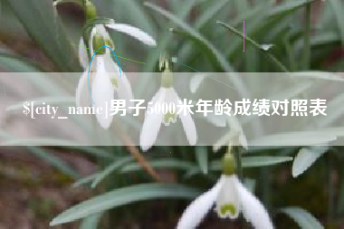 重庆男子5000米年龄成绩对照表