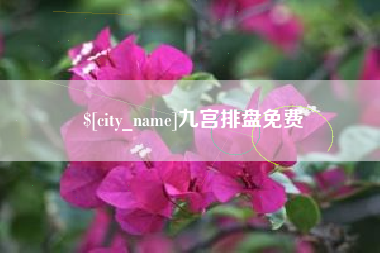 重庆九宫排盘免费