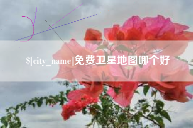 重庆免费卫星地图哪个好
