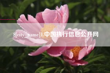 重庆1.中国执行信息公开网