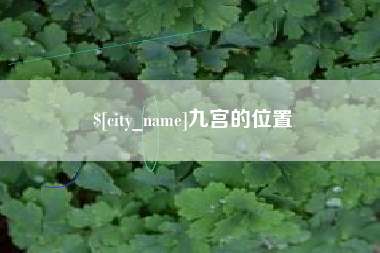 重庆九宫的位置