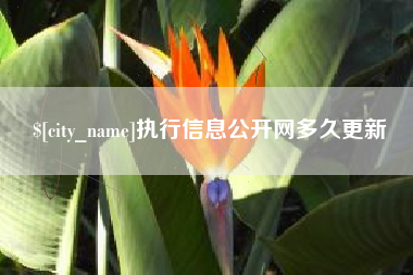 重庆执行信息公开网多久更新