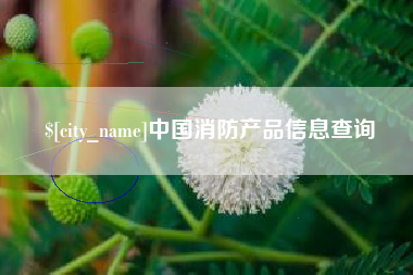 重庆中国消防产品信息查询