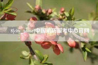 重庆中国消防报考中心官网