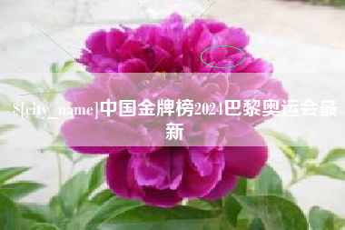 重庆中国金牌榜2024巴黎奥运会最新