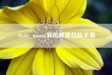 重庆消防救援总队王星