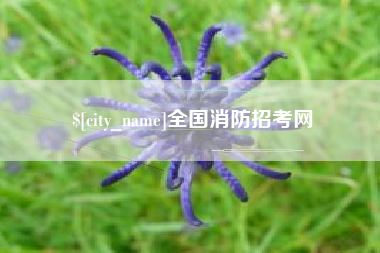重庆全国消防招考网