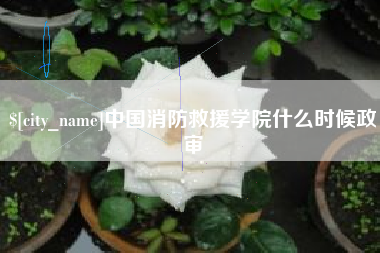 重庆中国消防救援学院什么时候政审
