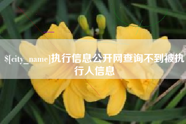 重庆执行信息公开网查询不到被执行人信息